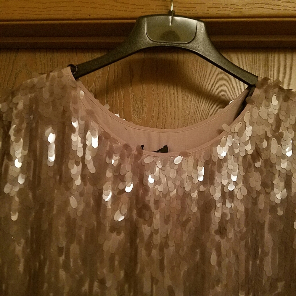 Rachel Zoe beige sequin top - Picture 2 of 7